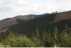 Photo of Mixed Textures